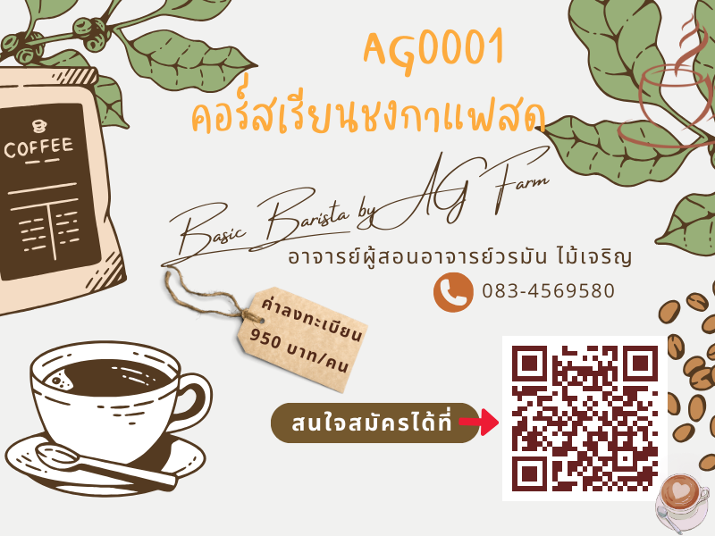 AG0001 หลักสูตรคอร์สเรียนชงกาแฟสด Basic Barista by AG Farm