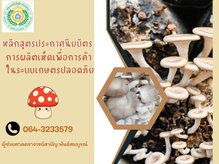 AG0002 การผลิตเห็ดเพื่อการค้าในระบบเกษตรปลอดภัย